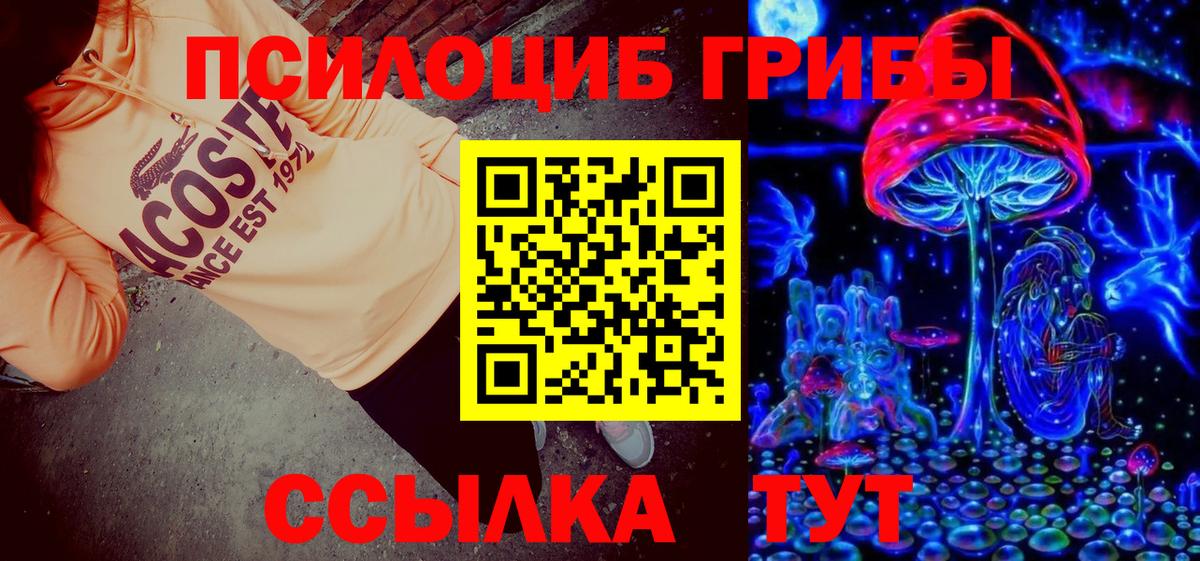 Галлюциногенные грибы Psilocybe Кинешма